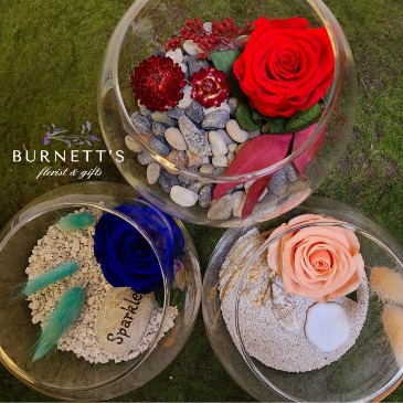 Forever Rose Bowl Dried Bouquet in Kelowna, BC | Burnett's Florist