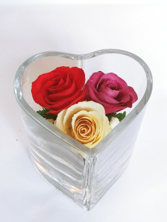 Forever Roses #HCMIXED Forever Roses arranged in sealed glass