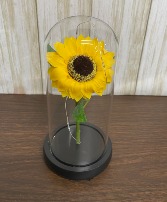 forever sunflower gift