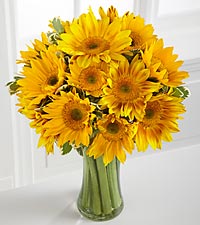 Forever Sunshine in Fair Lawn, NJ | Dietch's Florist Forever Sunshine in Fair Lawn, NJ | Dietch's Florist