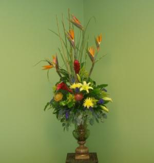 FORMAL TROPICAL DESIGN Tropical Flower Arrangment in Galveston, TX | J. MAISEL'S MAINLAND FLORAL FORMAL TROPICAL DESIGN Tropical Flower Arrangment in Galveston, TX | J. MAISEL'S MAINLAND FLORAL