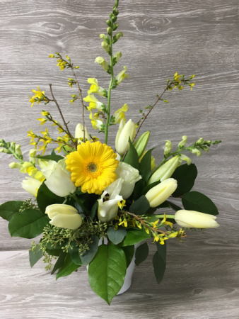Forsythia and Friends
