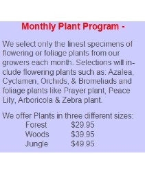 FOW Plant Program