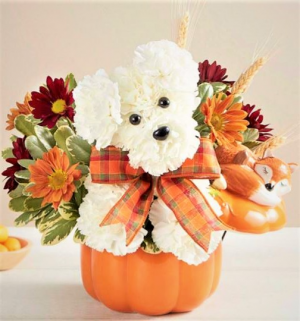 Fox and Hound For Fall! Keepsake Snoozin' Fox Cache Ceramic in Gainesville, FL | PRANGE'S FLORIST Fox and Hound For Fall! Keepsake Snoozin' Fox Cache Ceramic in Gainesville, FL | PRANGE'S FLORIST