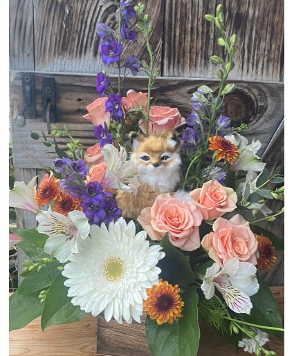 Fox in a box fresh design