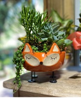 Foxy Succulent Garden 