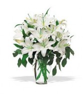 FRAGRANT WHITE LILIES Flower Vase