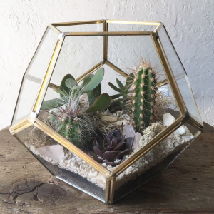 Framed Geode Terrarium in Toronto, ON | BOTANY FLORAL STUDIO Framed Geode Terrarium in Toronto, ON | BOTANY FLORAL STUDIO
