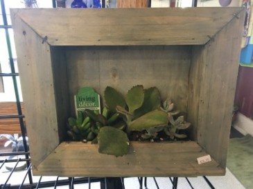 Framed Succulent Planter