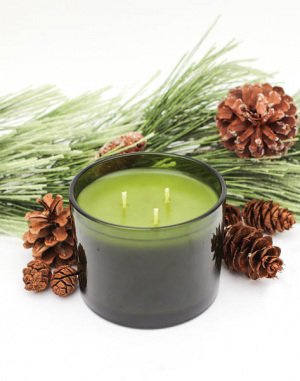 Frasier Fir Candle Chirstmas in Trumann, AR | Blossom Events & Florist Frasier Fir Candle Chirstmas in Trumann, AR | Blossom Events & Florist