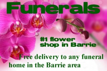 FREE DELIVERY to any funeral home in Barrie No service fees in Barrie, ON | FLOWERS AND PINEWORLD