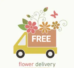FREE DELIVERY IN MT PEARL  