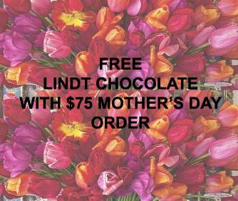 FREE LINDT CHOCOLATE