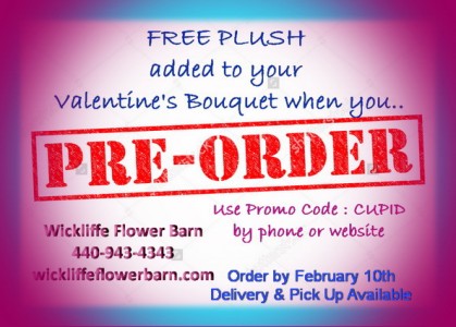 Free plush for Valentine's Bouquets Pre-Order by 12/10  Code: CUPID