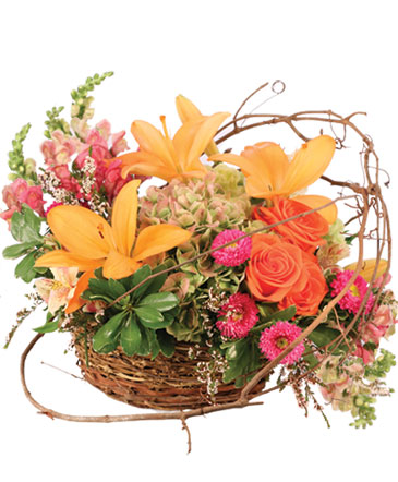 Free Spirit Garden Basket Arrangement in Miami Springs, FL | POINCIANA FLOWERS AND EVENTS