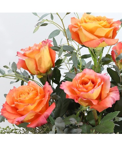 Free Spirit Half Dozen Rose Arrangement
