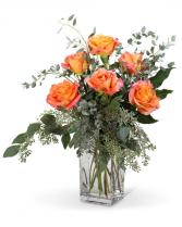 Free Spirit Roses (6) Flower Arrangement