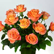 Free Spirit Roses Vase