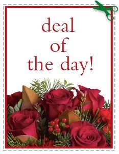 FREE UP GRADE DEAL OF THE DAY SPECIAL ONLY ONLINE! in Cape Coral, FL | ENCHANTED FLORIST OF CAPE CORAL FREE UP GRADE DEAL OF THE DAY SPECIAL ONLY ONLINE! in Cape Coral, FL | ENCHANTED FLORIST OF CAPE CORAL