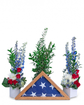 Freedom Tribute Sympathy