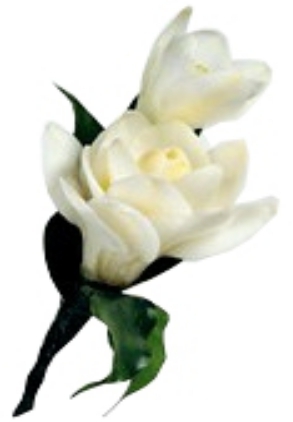 FREESIA BOUTONNIERE