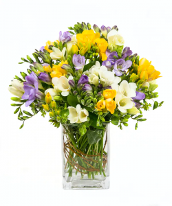Freesias vase