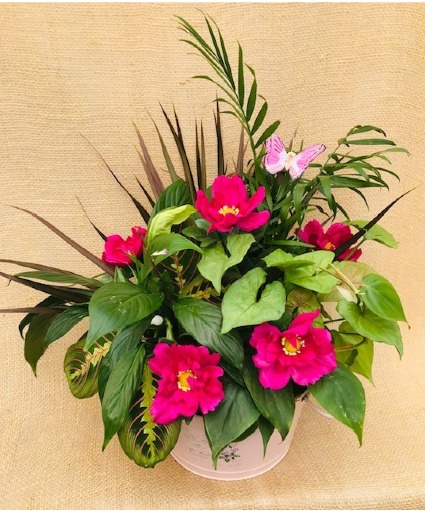 French Pinky Dish Garden Planter