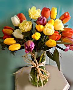 Tulip Parade in Fair Lawn, NJ | Dietch's Florist Tulip Parade in Fair Lawn, NJ | Dietch's Florist