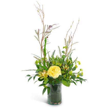 Fresh Air Arrangement