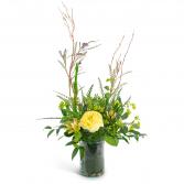 Fresh Air Arrangement