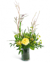 Fresh Air Arrangement