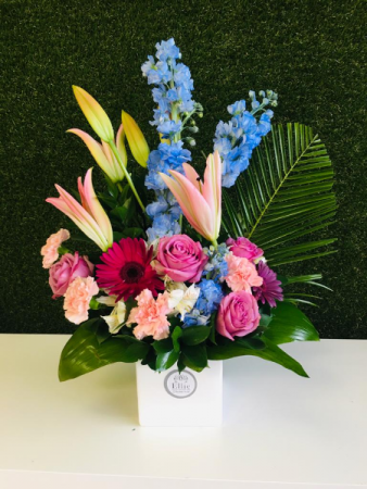 Fresh Air Arrangement