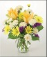 Fresh and Bright 
