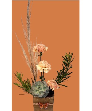 Fresh and Succulent Flower & Succulent Arrangement