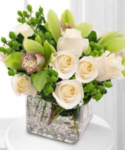 Fresh Arrangement