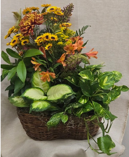 Fresh Arrangement within a Plant Basket