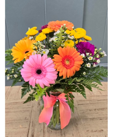 Fresh As A Daisy  in Union, MO | Sisterchicks Flowers and More LLC 