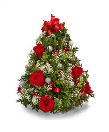 Fresh Boxwood Holiday Tree Holiday Fresh Cut in Weymouth, MA | Weymouth Flower Shop Fresh Boxwood Holiday Tree Holiday Fresh Cut in Weymouth, MA | Weymouth Flower Shop