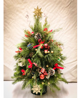 Fresh Boxwood Tree Christmas