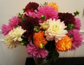 Fresh Cut Garden Dahlias  Vase Arrangement