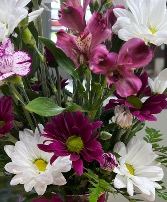 Fresh cuts wrapped in cellophane. No vase  