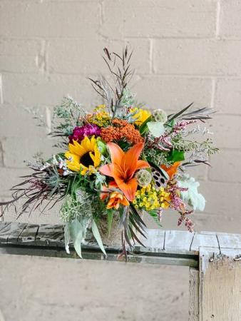 Fresh Daily Special Fresh Fall Special
