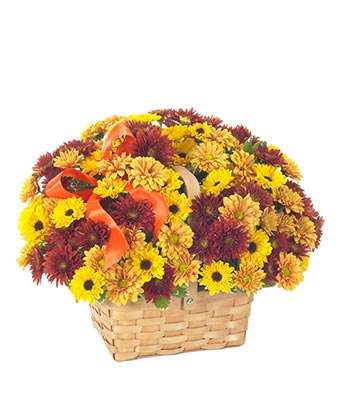 Fresh Daisy Bouquet
