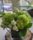 Fresh Dew Floral Arrangement