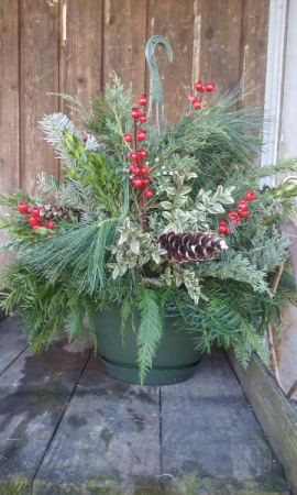 Fresh Evergreen Hanging Basket