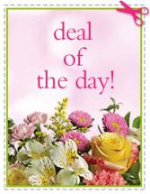 Fresh Floral Arrangement flower arrangement
