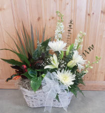 Fresh Flowers & Plant Basket 
