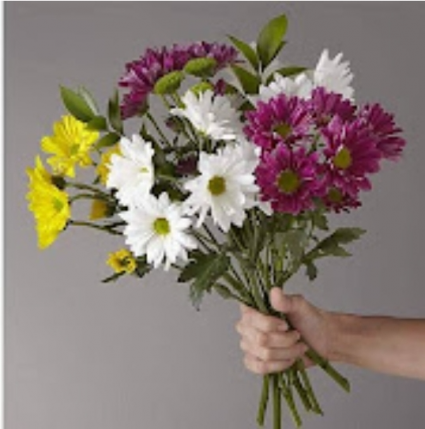 Fresh hand tied daisy bouquet  Hand tied daisies