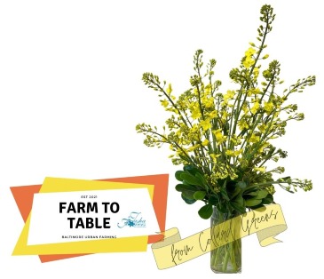 Fresh Harvest of Spring Designer's Original in Baltimore, MD | Tasha Flowers-Your Personal Florist