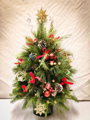 Fresh Live Boxwood Tree Arrangement in Croton On Hudson, NY | Cooke's Little Shoppe Of Flowers Fresh Live Boxwood Tree Arrangement in Croton On Hudson, NY | Cooke's Little Shoppe Of Flowers